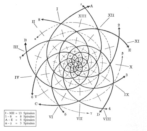 Fibonacci
                    Sonnenblume